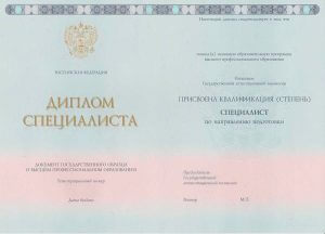 Диплом о высшем образовании 2013 года